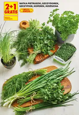 Biedronka NATKA PIETRUSZKI, SZCZYPIOREK, SZCZYPIOR, KOPEREK, RZEŻUCHA oferta