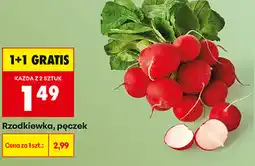 Biedronka Rzodkiewka, pęczek oferta