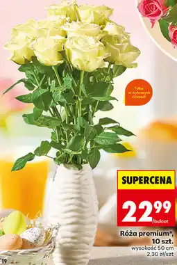 Biedronka Róża premium*, 10 szt oferta