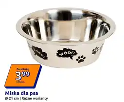 Action Miska dla psa oferta