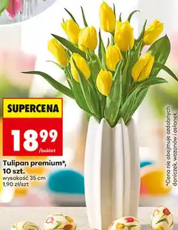 Biedronka Tulipan premium*, 10 szt oferta