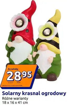 Action Solarny krasnal ogrodowy oferta