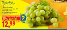 Lidl Winogrona Plus-Plus oferta