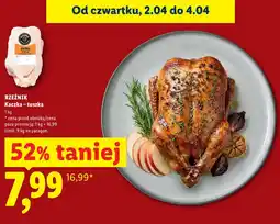 Lidl Kaczka Rzeźnik oferta