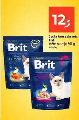 Dealz Sucha karma różne rodzaje oferta