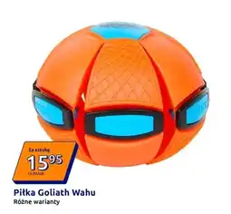 Action Piłka Wahu oferta