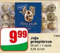 Dino Jaja przepiórcze oferta