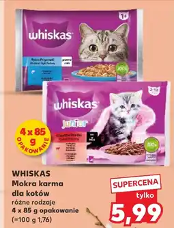 Kaufland Mokra karma dla kota Whiskas oferta