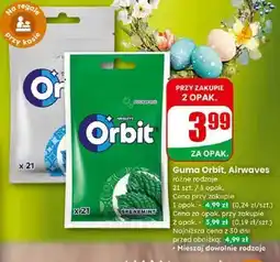 Dino Guma różne rodzaje oferta