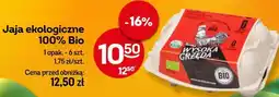 Żabka Jaja ekologiczne 100% Bio oferta