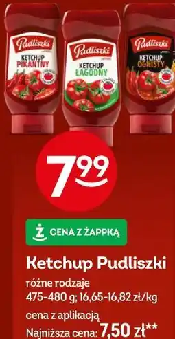 Żabka Ketchup Pudliszki różne rodzaje oferta