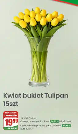 Dino Kwiat bukiet Tulipan 15szt oferta