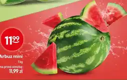 Żabka Arbuz mini oferta