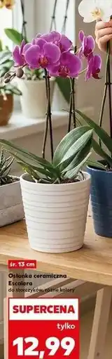 Kaufland Osłonka ceramiczna escalera 13 cm oferta