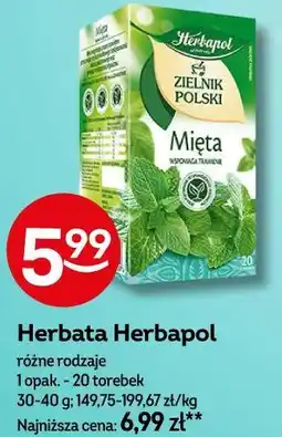 Żabka Herbata Herbapol oferta