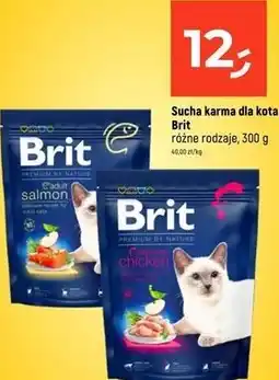 Dealz Sucha karma dla kota Brit różne rodzaje oferta