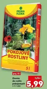 Kaufland Ziemia do roślin pokojowych z zeolitem Prima Flora oferta