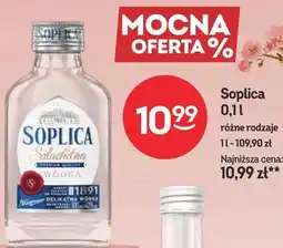 Żabka Soplica 0,1l różne rodzaje oferta