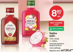 Żabka Soplica oferta