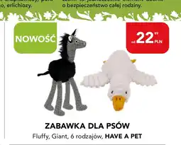 AquaelZOO Zabawka dla psa oferta