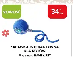 AquaelZOO Zabawka dla kota Have a Pet oferta