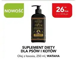 AquaelZOO Suplement diety dla kota Wataha oferta