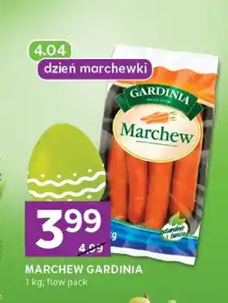Stokrotka Marchew flow pack oferta