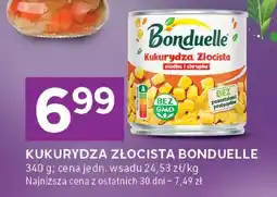 Stokrotka Kukurydza złocista oferta