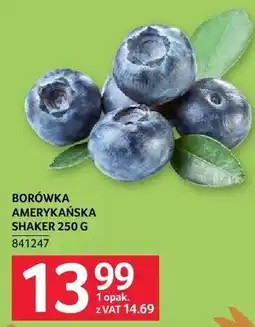Selgros Borówka amerykańska Shaker oferta
