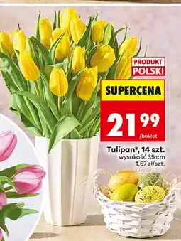 Biedronka Tulipany żółte, 14 szt oferta