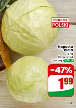 Dino Kapusta biała Polski oferta