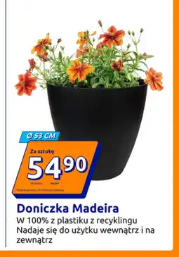Action Doniczka oferta