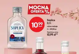 Żabka Wódka Soplica oferta