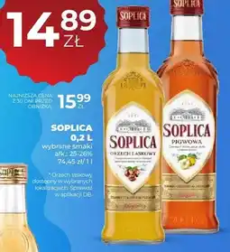 Duży Ben Wódka wybrane smaki oferta