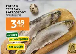 Stokrotka Market Pstrąg tęczowy – patroszony oferta