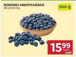 Stokrotka Market Borówki amerykańskie oferta