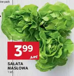 Stokrotka Market Sałata masłowa oferta