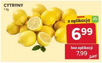 Stokrotka Market Cytryny oferta