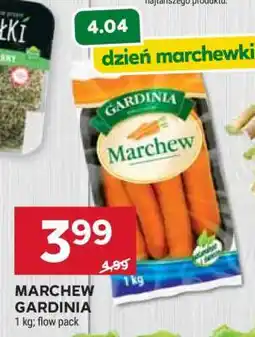 Stokrotka Market Marchew Gardinia oferta
