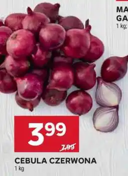 Stokrotka Market Cebula czerwona oferta