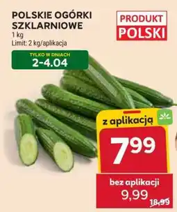 Stokrotka Market Polskie Ogórki Szklarniowe oferta