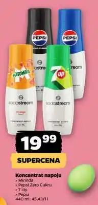 Netto Koncentrat napoju oferta