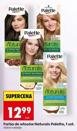 Biedronka Farba do włosów Naturals Palette, 1 szt oferta