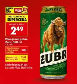 Biedronka Piwo jasne pełne Żubr, 550 ml oferta