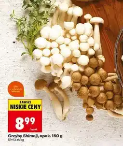 Biedronka Grzyby Shimeji opak 150 g oferta