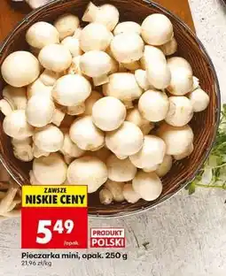 Biedronka Pieczarka mini opak . 250 g oferta