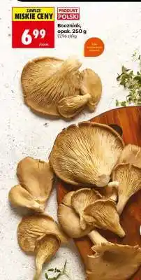 Biedronka Boczniak, opak. 250 g oferta