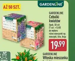 ALDI Gardenline Cebulki kwiatów oferta