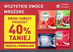 ALDI WSZYSTKIE OWOCE MROŻONE oferta