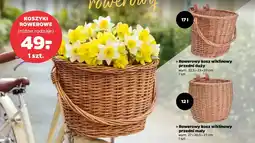 Netto Kosz rowerowy oferta